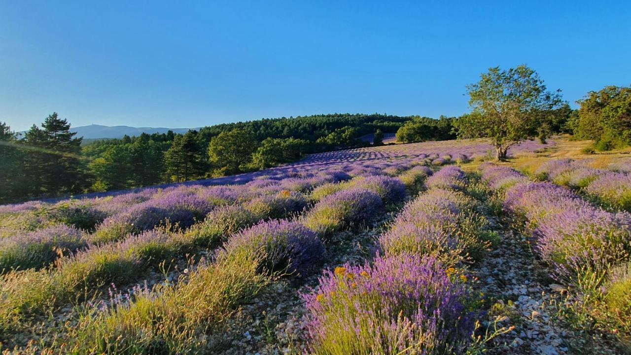 A Ventoux Yourte Monieux Luaran gambar
